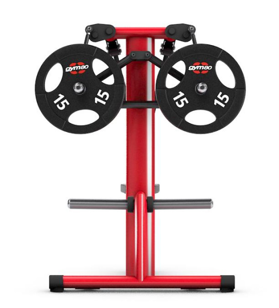 Дельтовидная машина Gym80 G-4325